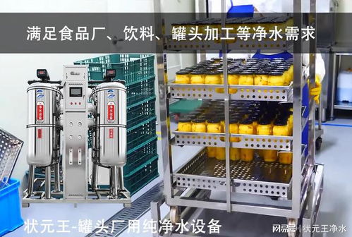 狀元王純凈水設(shè)備 助力罐頭飲料廠實(shí)現(xiàn)高效凈水方案